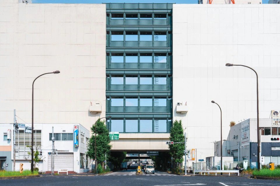 🌳 동백수염 공원(히가시시라히게코엔) 이미지 5